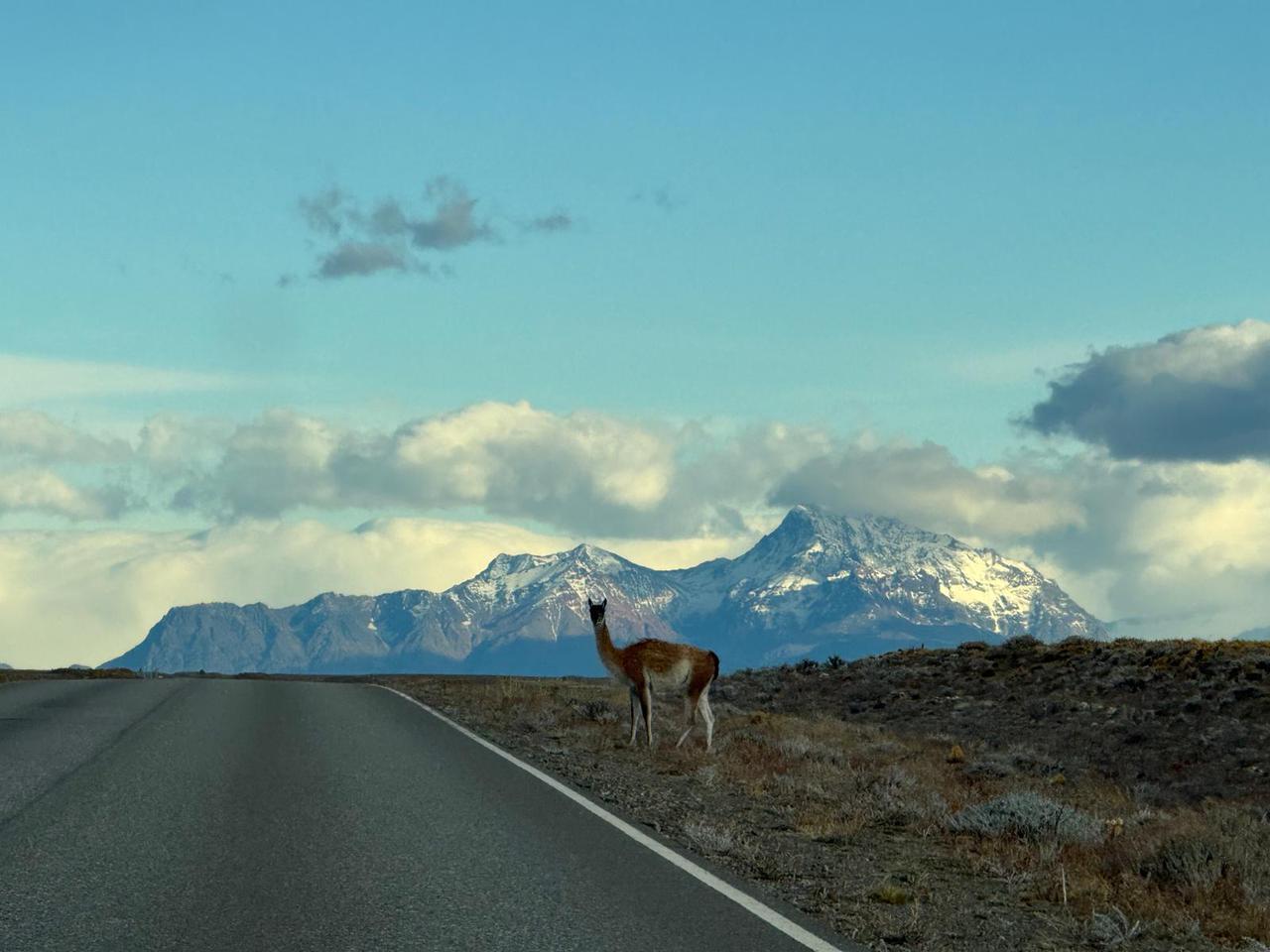 Senderos de montaña en El Chaltén